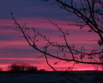 Prairie sunset