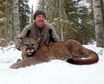 cougar taken 2014