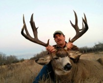 mule_deer_5