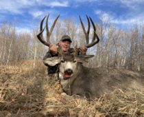 Large Mule Deer